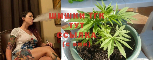 спиды Надым