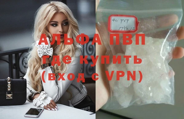 спиды Надым