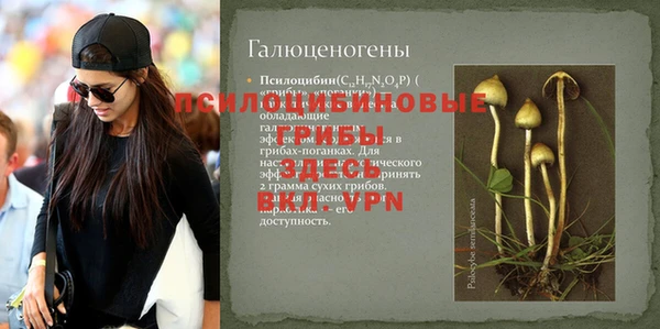 спиды Надым