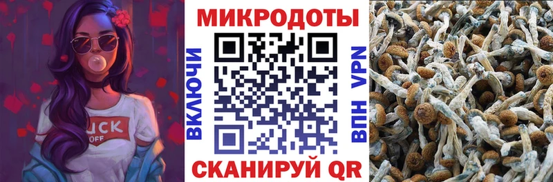 Псилоцибиновые грибы Psilocybine cubensis  Заволжск 