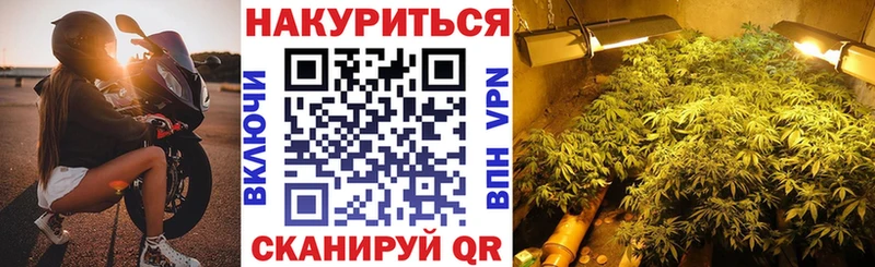 Марихуана SATIVA & INDICA Заволжск